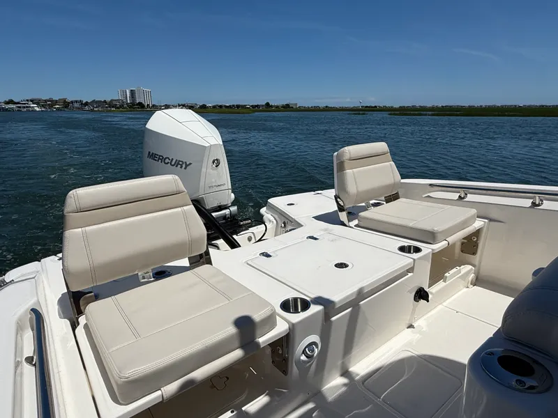 Slide: The Image of Boston Whaler 250 Dauntless 2026 - 14