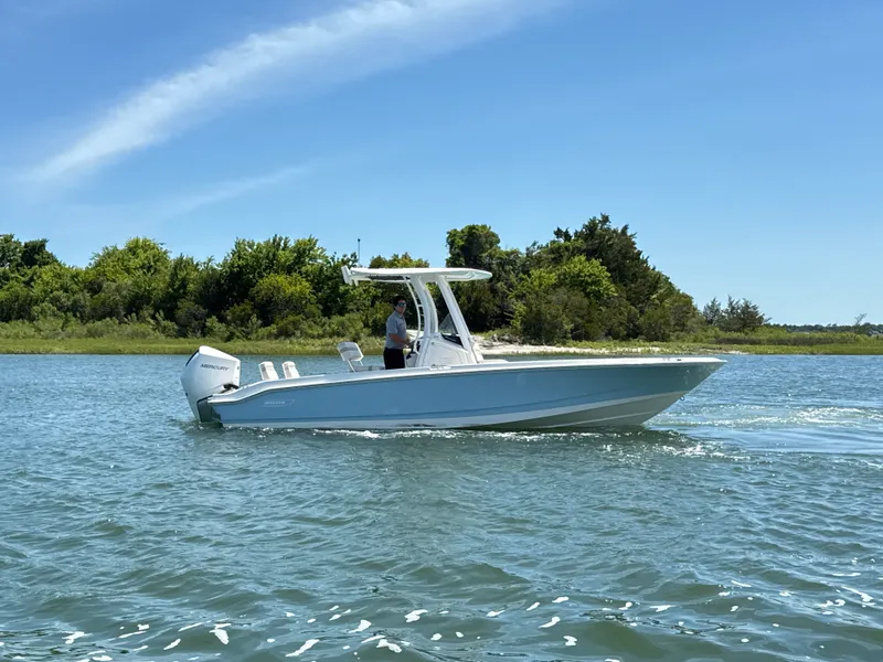 Slide: The Image of Boston Whaler 250 Dauntless 2026 - 6