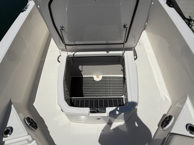 Slide: The Image of Boston Whaler 250 Dauntless 2026 - 23