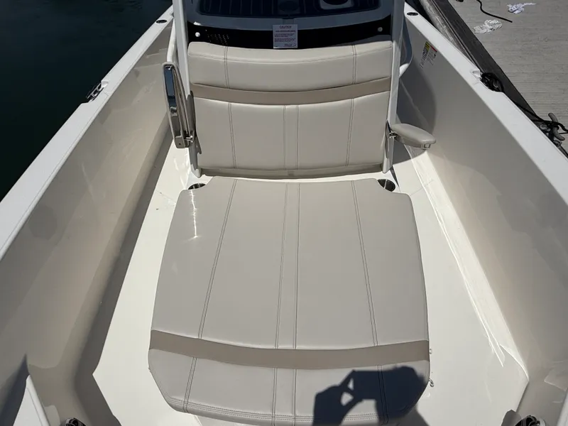 Slide: The Image of Boston Whaler 250 Dauntless 2026 - 24