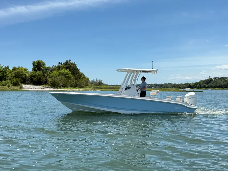 The Image of Boston Whaler 250 Dauntless 2026 - 0