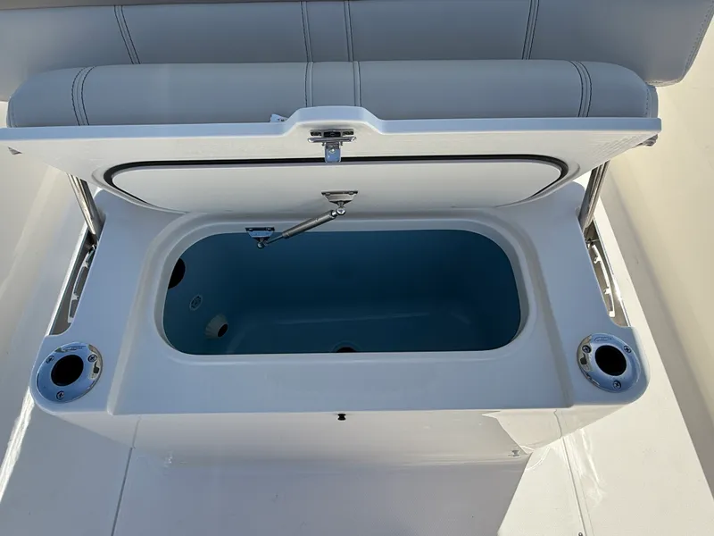 Slide: The Image of Boston Whaler 250 Dauntless 2026 - 17