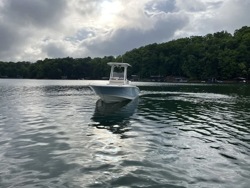 Slide: The Image of Boston Whaler 250 Dauntless 2026 - 8