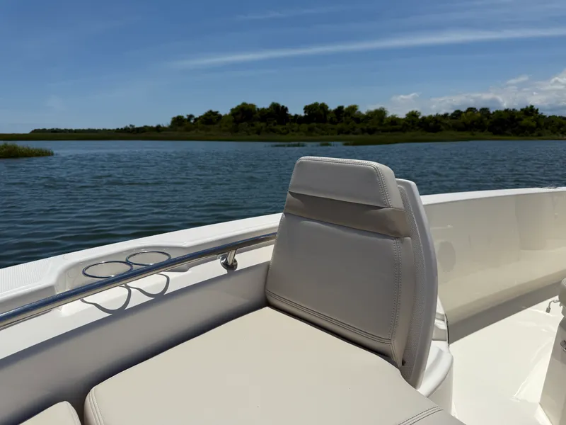 Slide: The Image of Boston Whaler 250 Dauntless 2026 - 11