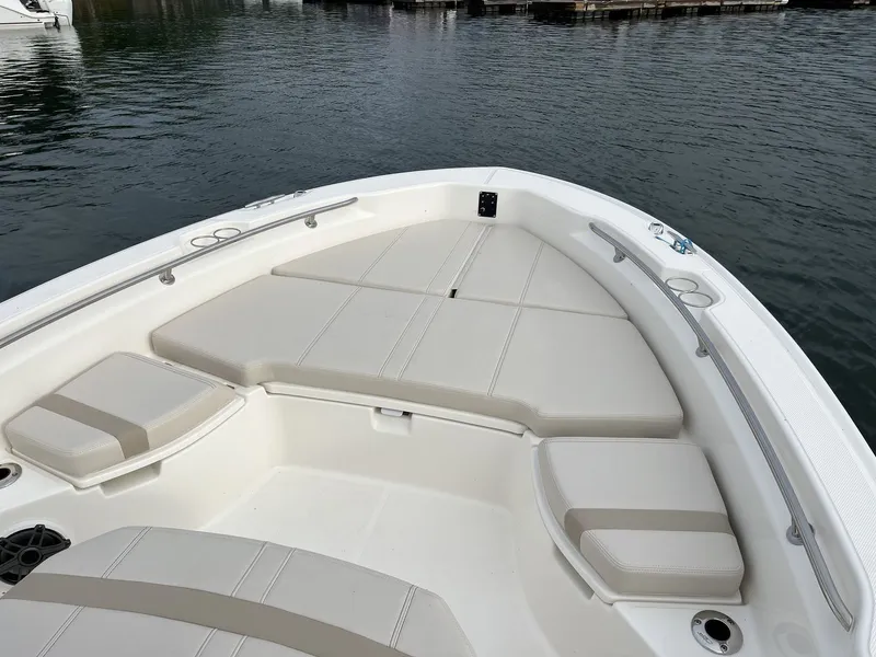 Slide: The Image of Boston Whaler 250 Dauntless 2026 - 9