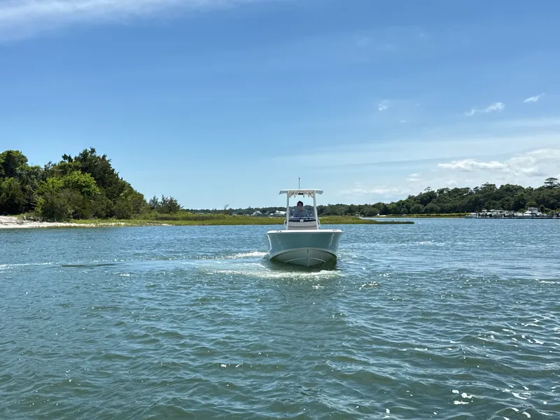 Slide: The Image of Boston Whaler 250 Dauntless 2026 - 9