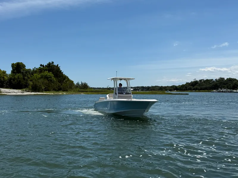 Slide: The Image of Boston Whaler 250 Dauntless 2026 - 8