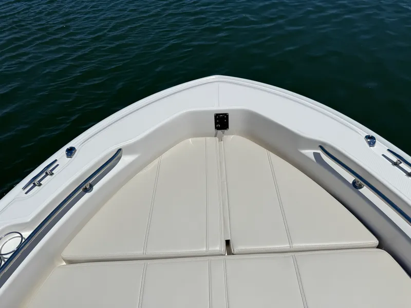 Slide: The Image of Boston Whaler 250 Dauntless 2026 - 10