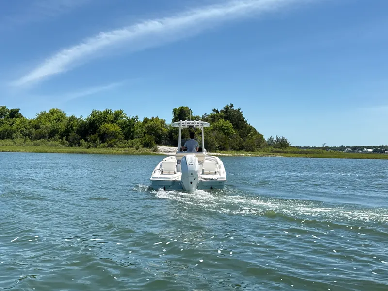 Slide: The Image of Boston Whaler 250 Dauntless 2026 - 4
