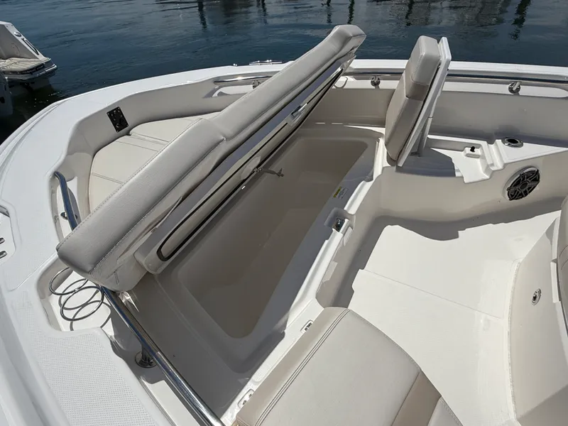 Slide: The Image of Boston Whaler 250 Dauntless 2026 - 26