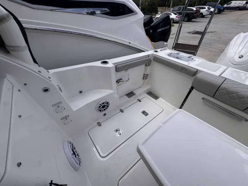 Slide: The Image of Pursuit 306 DC 2025 - 12