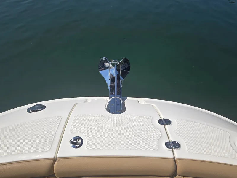Slide: The Image of Sea Ray SDX 290 2026 - 17