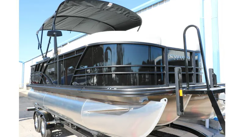 Slide: The Image of Sylvan Mirage 8522 Party Fish Tri Toon 2025 - 11