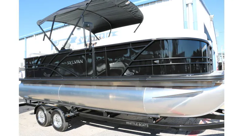 Slide: The Image of Sylvan Mirage 8522 Party Fish Tri Toon 2025 - 13