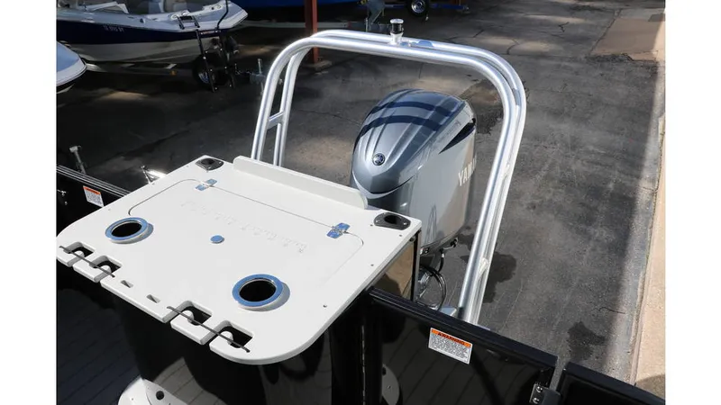 Slide: The Image of Sylvan Mirage 8522 Party Fish Tri Toon 2025 - 25