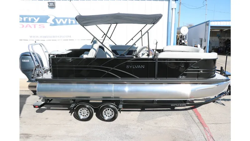 Slide: The Image of Sylvan Mirage 8522 Party Fish Tri Toon 2025 - 3