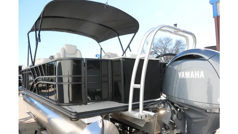 Slide: The Image of Sylvan Mirage 8522 Party Fish Tri Toon 2025 - 6