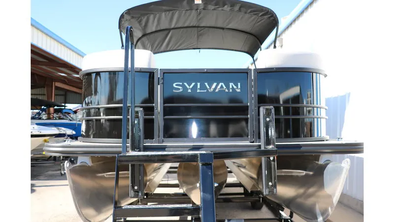 Slide: The Image of Sylvan Mirage 8522 Party Fish Tri Toon 2025 - 9