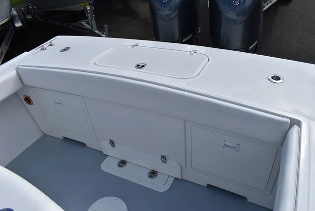 Slide: The Image of Steiger Craft 255 Chesapeake Pilothouse 2026 - 20