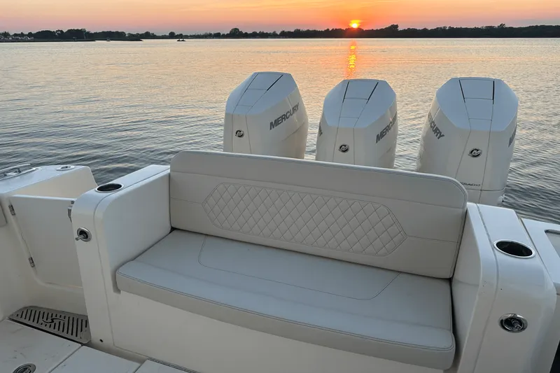 Slide: The Image of Scout 377 LXF 2025 - 2