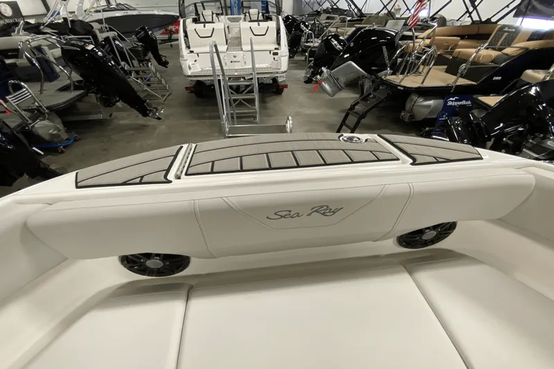Slide: The Image of Sea Ray 250 SDX 2025 - 18