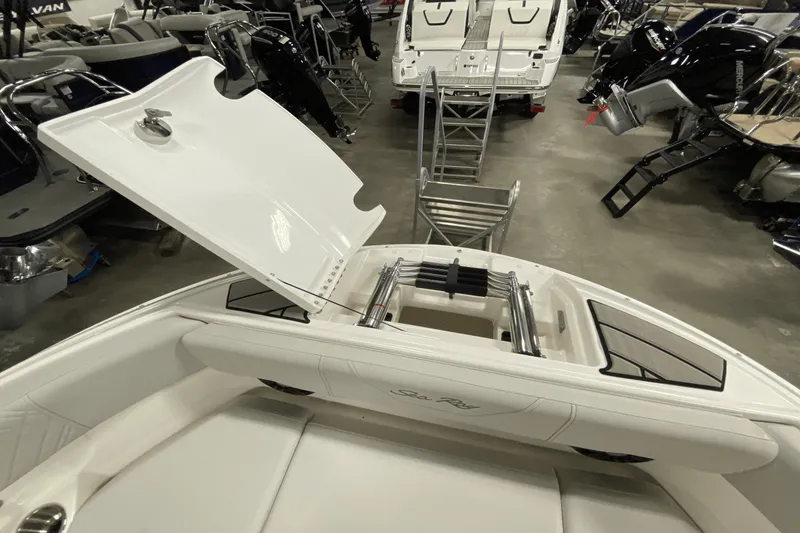 Slide: The Image of Sea Ray 250 SDX 2025 - 19