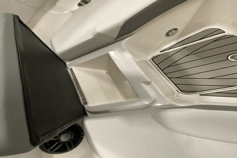 Slide: The Image of Sea Ray 250 SDX 2025 - 21