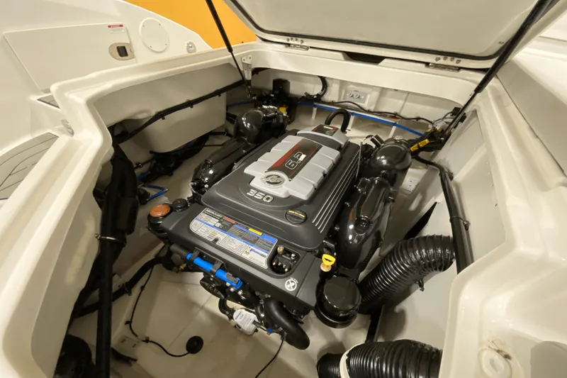 Slide: The Image of Sea Ray 250 SDX 2025 - 25