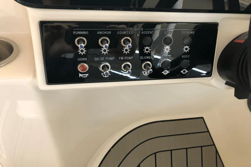 Slide: The Image of Sea Ray 250 SDX 2025 - 17