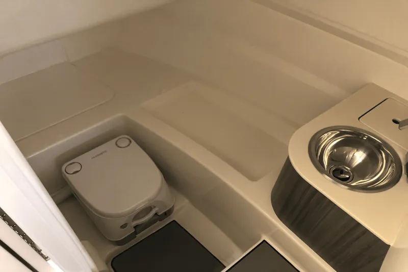 Slide: The Image of Sea Ray 250 SDX 2025 - 21