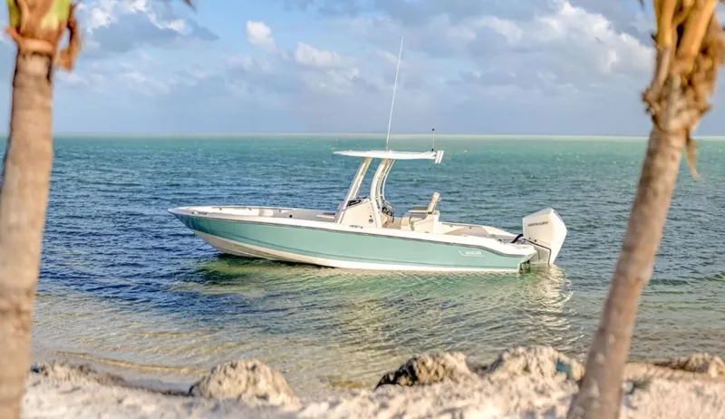 The Image of Boston Whaler 250 Dauntless 2026 - 0