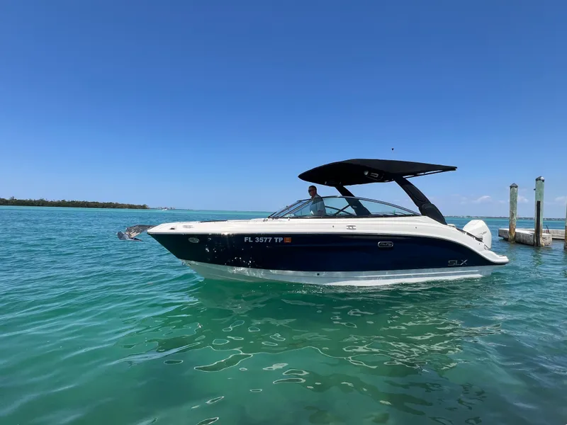 Slide: The Image of Sea Ray SLX 260 Outboard 2023 - 12