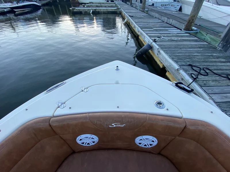Slide: The Image of Scout 240 DORADO 2022 - 21