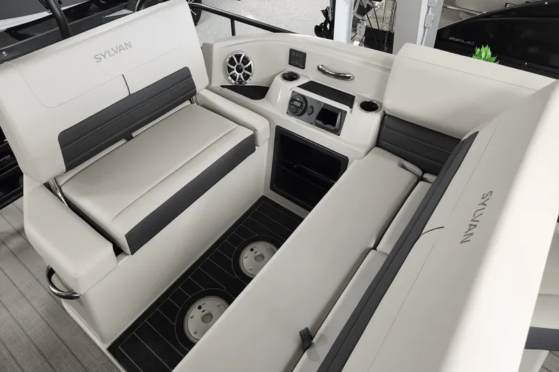 Slide: The Image of Sylvan G3 2025 - 31