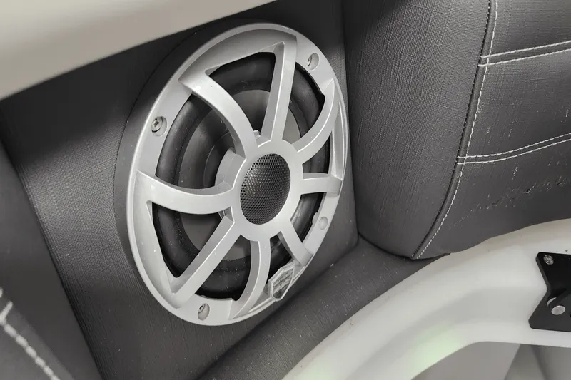 Slide: The Image of Sylvan G3 2025 - 47