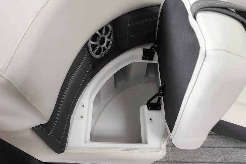 Slide: The Image of Sylvan G3 2025 - 48