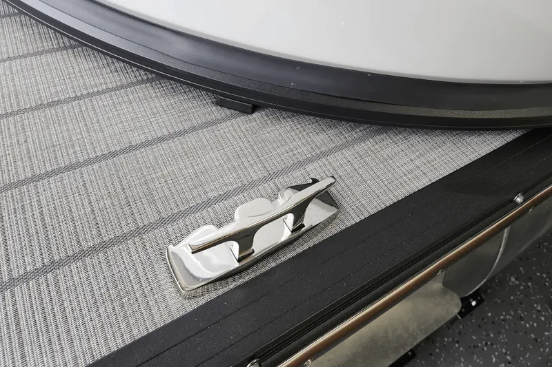 Slide: The Image of Sylvan G3 2025 - 49