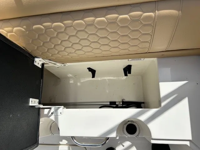 Slide: The Image of Sea Ray 250 SDX OB 2021 - 19