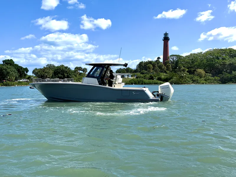 The Image of Scout 288 LXF 2026 - 0