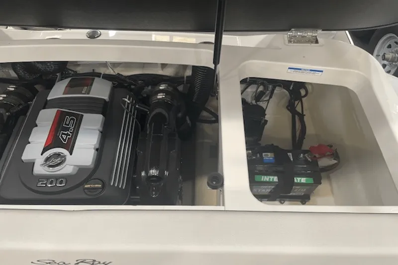 Slide: The Image of Sea Ray SPX 190 2025 - 49