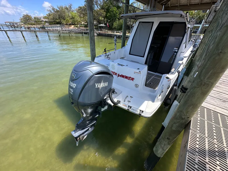 Slide: The Image of Cutwater C-248 COUPE 2023 - 4