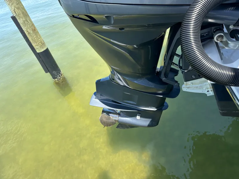 Slide: The Image of Cutwater C-248 COUPE 2023 - 7