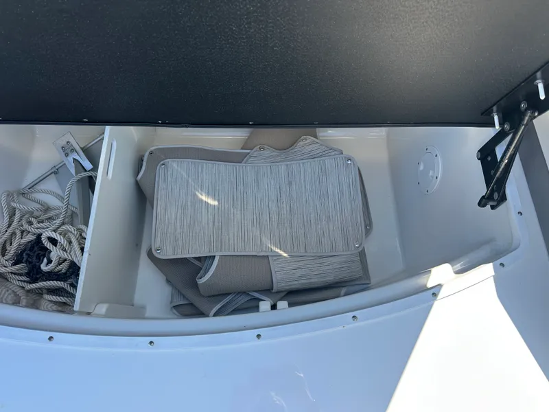 Slide: The Image of Sea Ray 310 SLX OB 2023 - 31