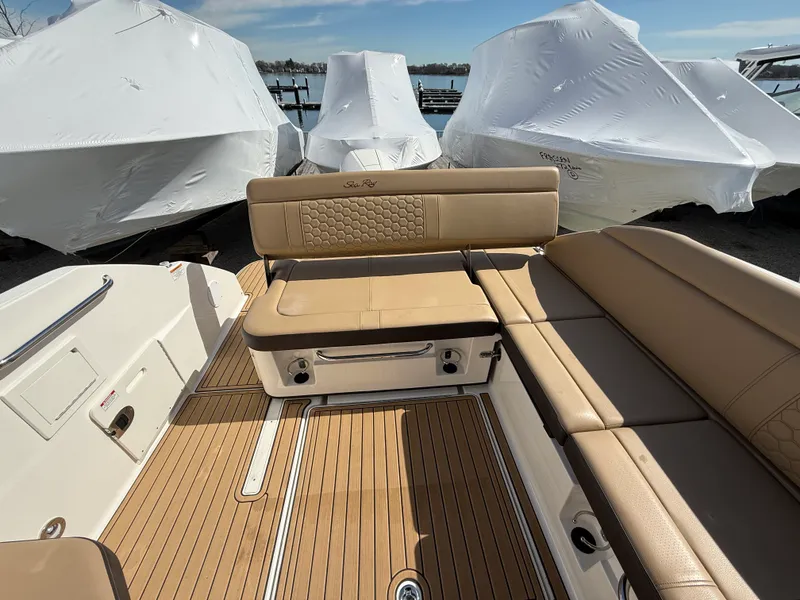 Slide: The Image of Sea Ray 250 SDX OB 2024 - 10