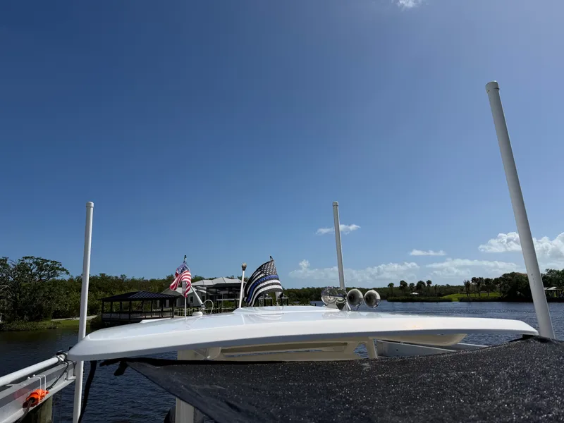 Slide: The Image of Boston Whaler 270 DAUNTLESS 2018 - 11