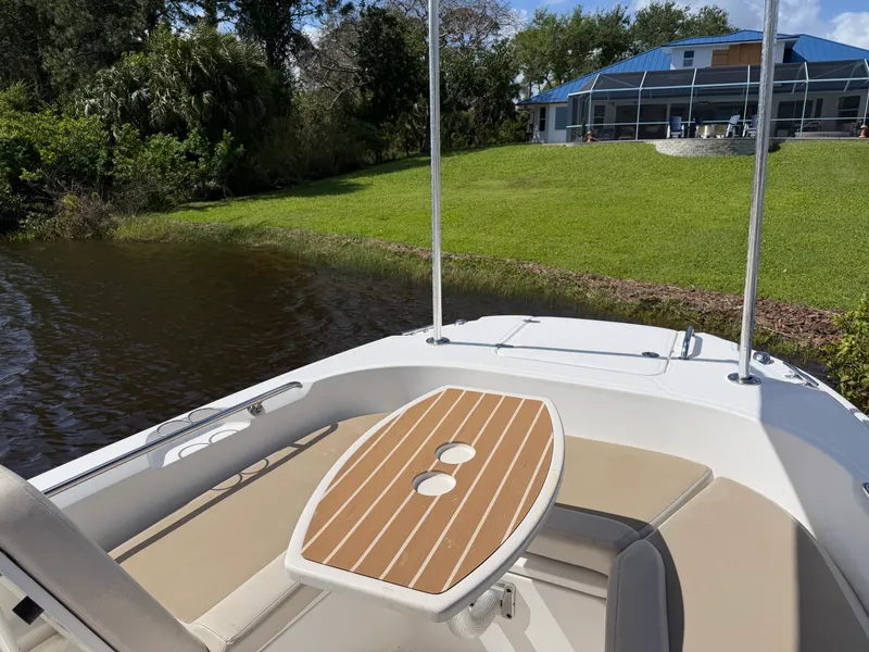 Slide: The Image of Boston Whaler 270 DAUNTLESS 2018 - 15