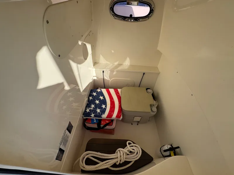 Slide: The Image of Boston Whaler 270 DAUNTLESS 2018 - 17
