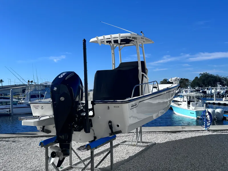 The Image of Boston Whaler 210 MONTAUK 2023 - 0