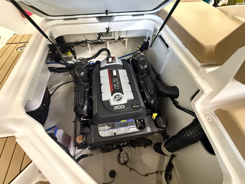 Slide: The Image of Sea Ray SDX 250 2026 - 26
