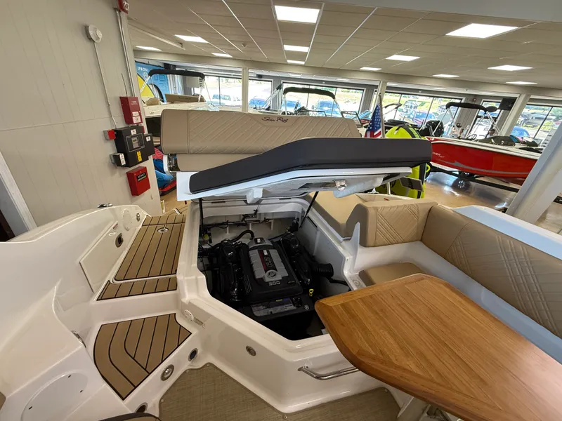Slide: The Image of Sea Ray SDX 250 2026 - 27